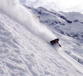 Talkin Skiier 8
